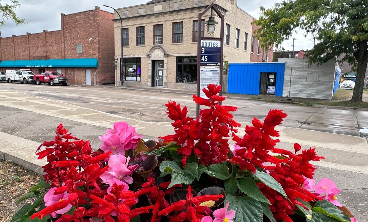 Buses and Blooms: An ode to transit during Earth Month